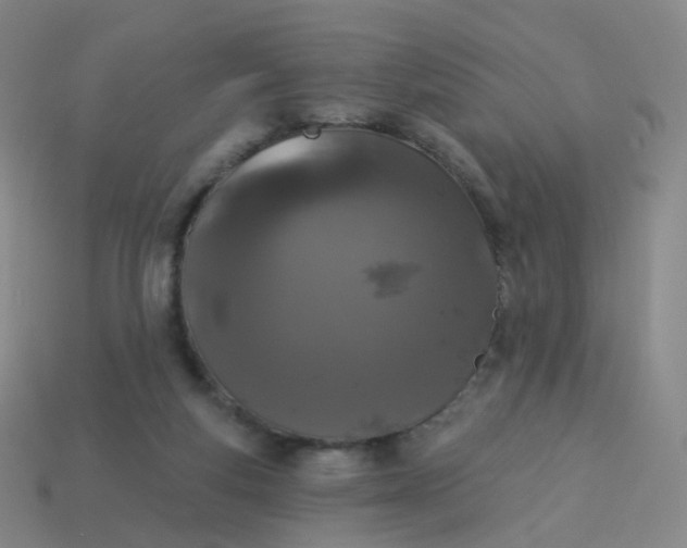 X0000114070163200910191529