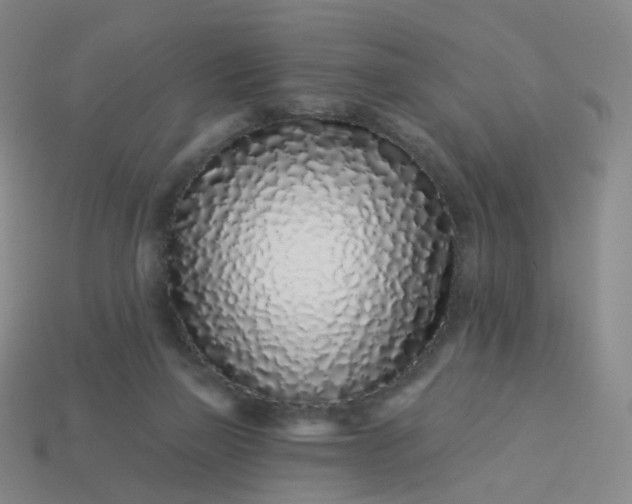 X0000114070165200910191529