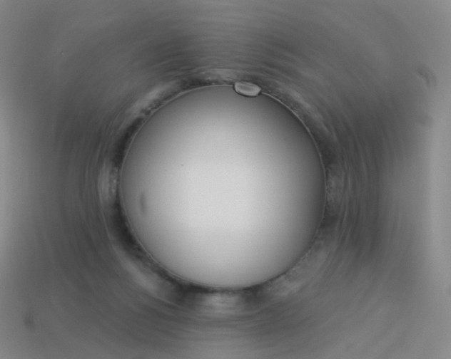 X0000114070168200910191529