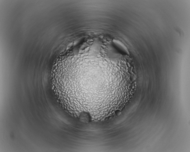 X0000114070169200910191529