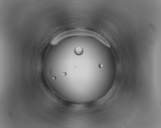 X0000114070170200910191529