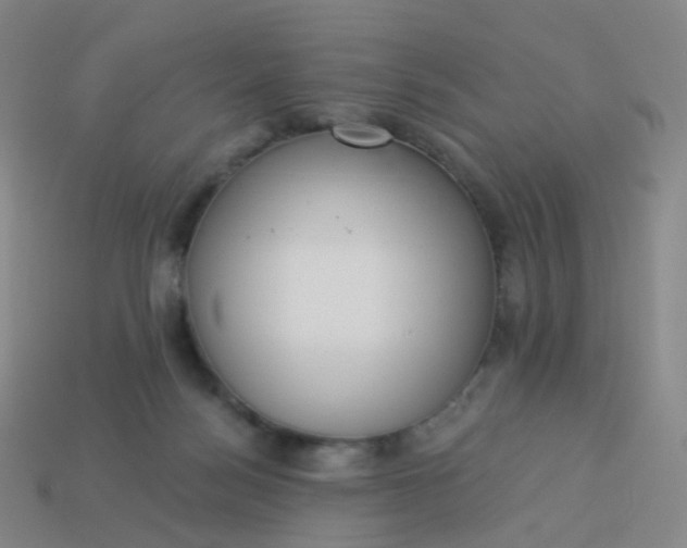 X0000114070172200910191529