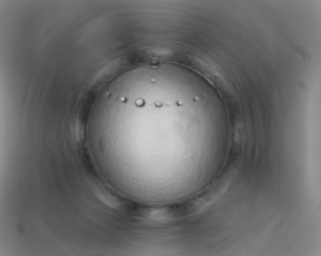 X0000114070173200910191529