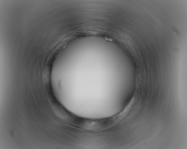 X0000114070174200910191529