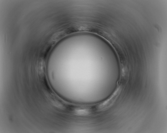 X0000114070175200910191529