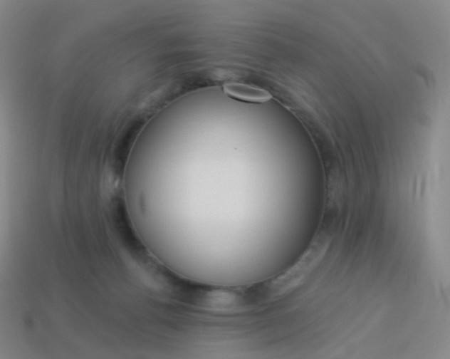 X0000114070176200910191529