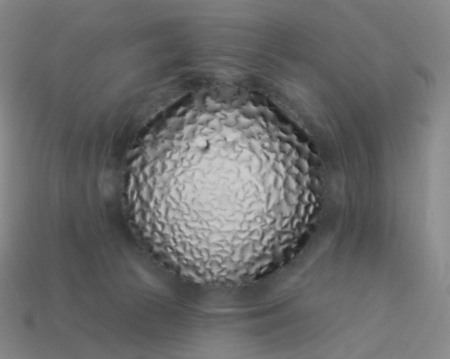 X0000114070177200910191529