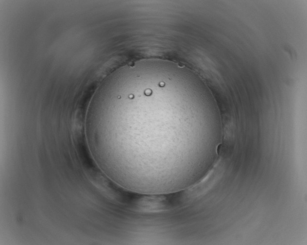 X0000114070179200910191529