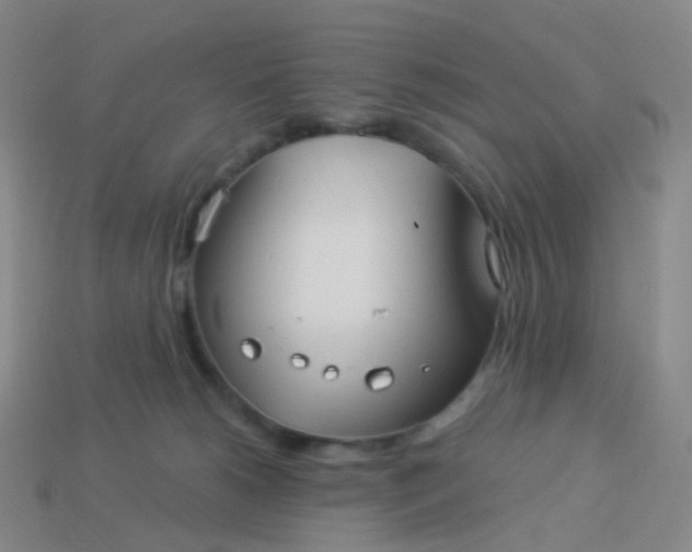 X0000114070180200910191529