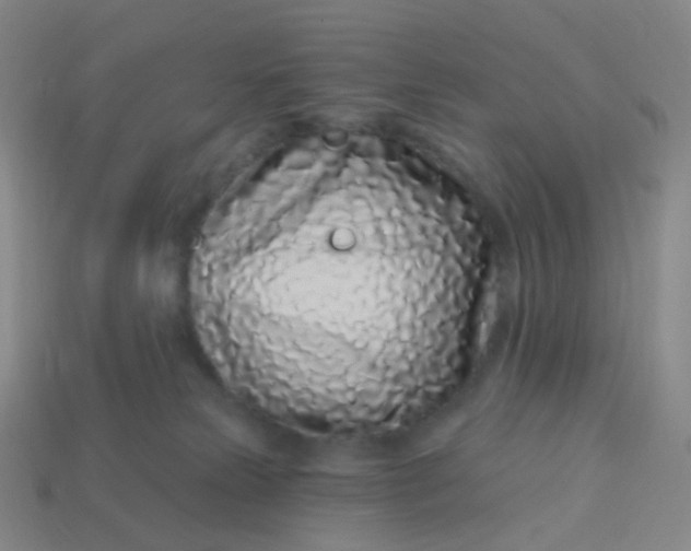 X0000114070181200910191529