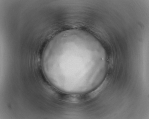 X0000114070182200910191529