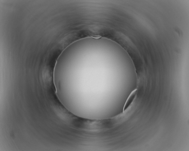 X0000114070186200910191529