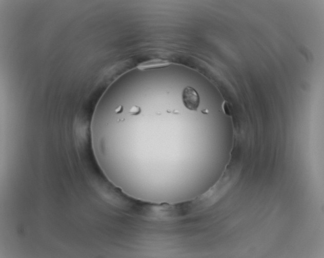 X0000114070188200910191529