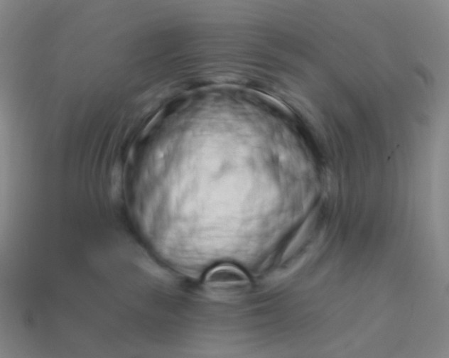 X0000114070189200910191529