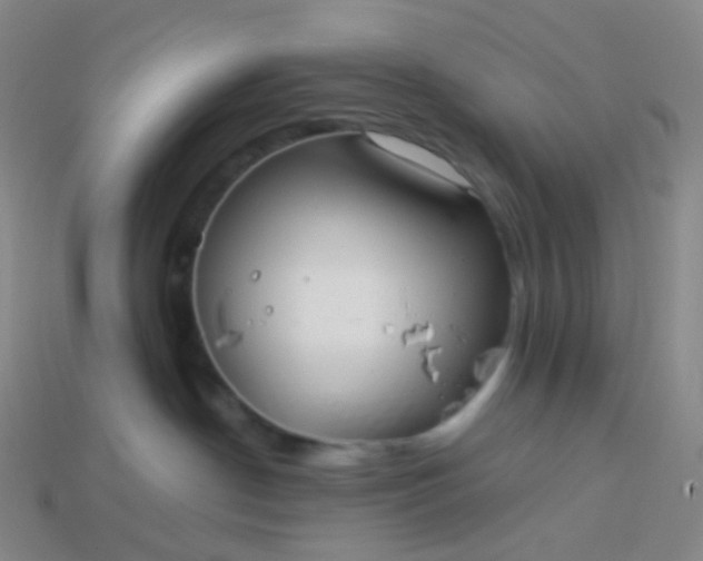 X0000114070190200910191529