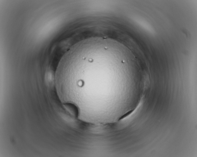 X0000114070191200910191529