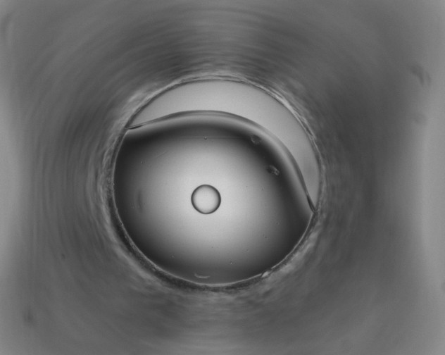 X0000114070193200910191529