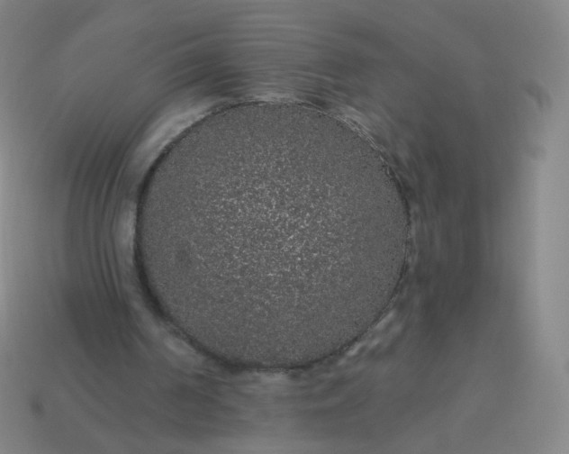 X0000114070194200910191529