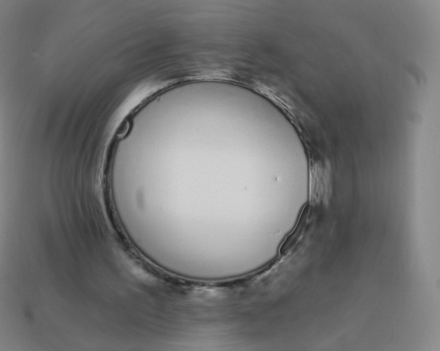 X0000114070195200910191529