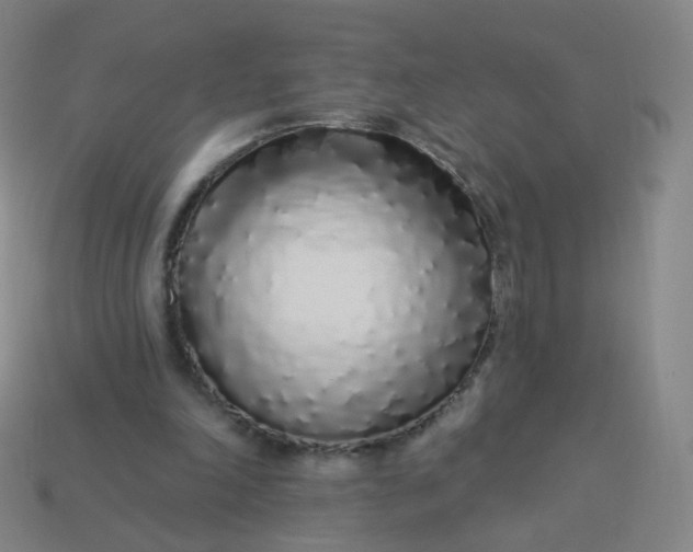 X0000114070198200910191529