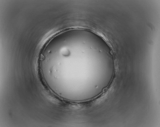 X0000114070199200910191529