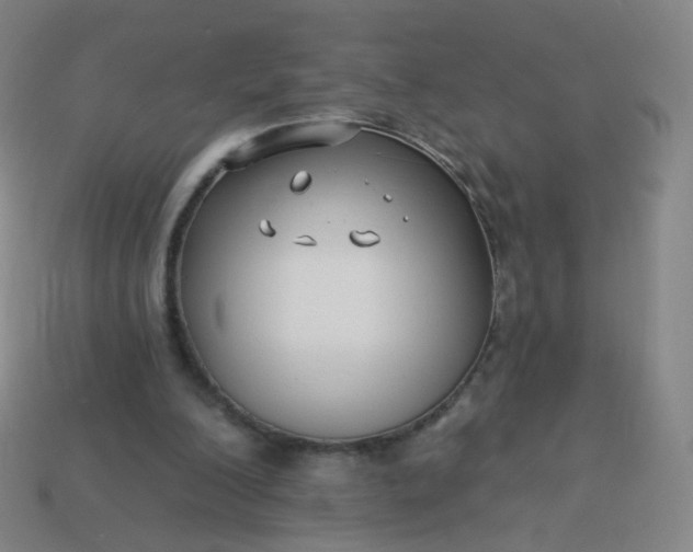 X0000114070200200910191529