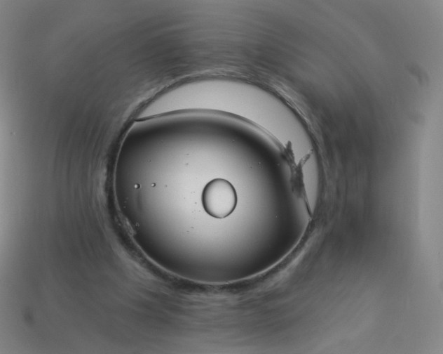 X0000114070201200910191529