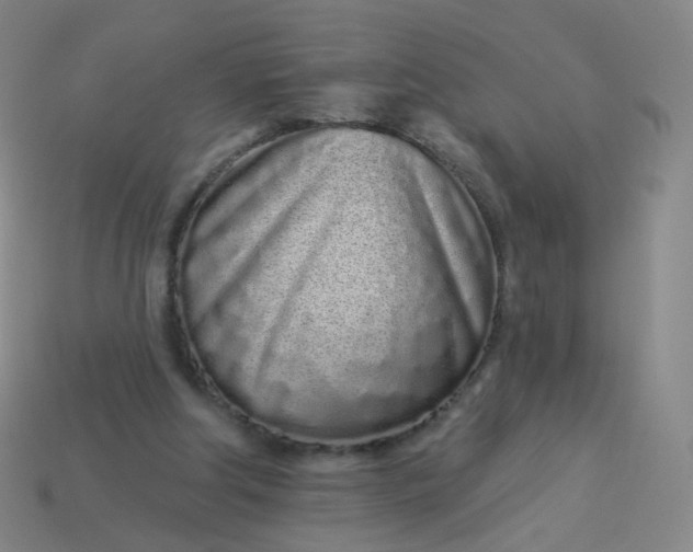 X0000114070202200910191529