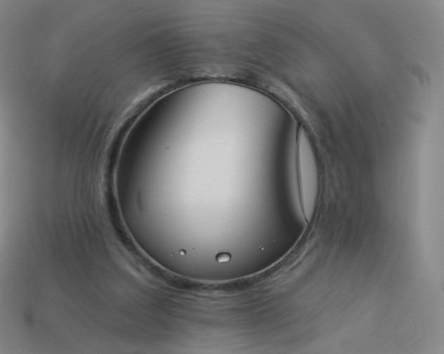 X0000114070203200910191529