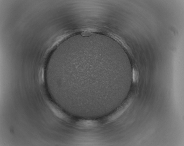 X0000114070205200910191529