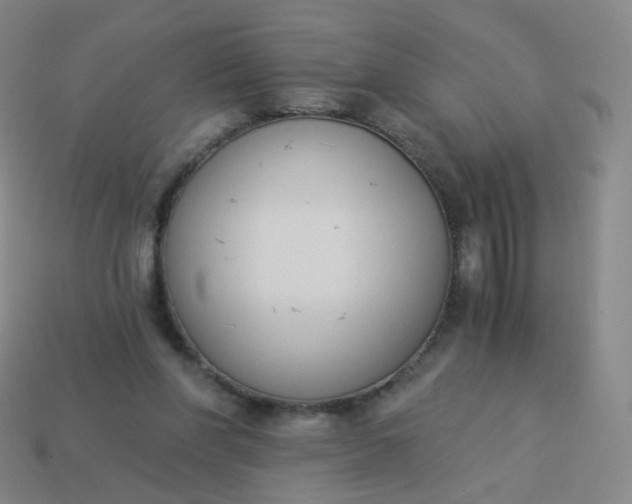 X0000114070206200910191529