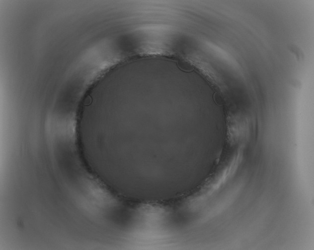 X0000114070207200910191529