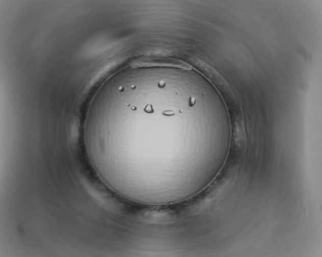 X0000114070208200910191529