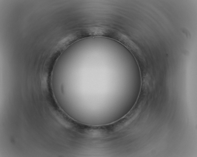 X0000114070209200910191529