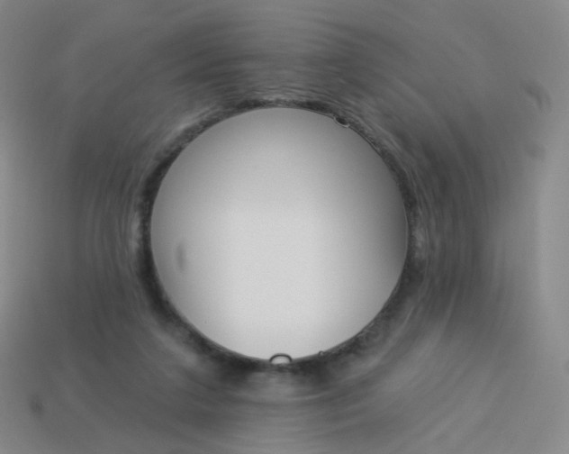 X0000114070211200910191529