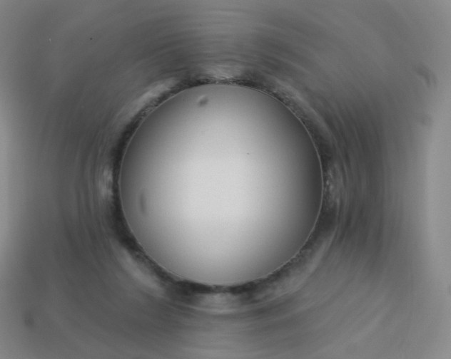 X0000114070212200910191529