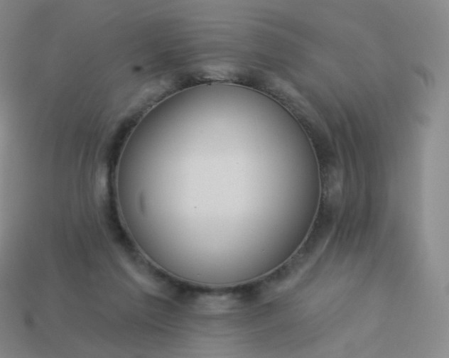 X0000114070213200910191529