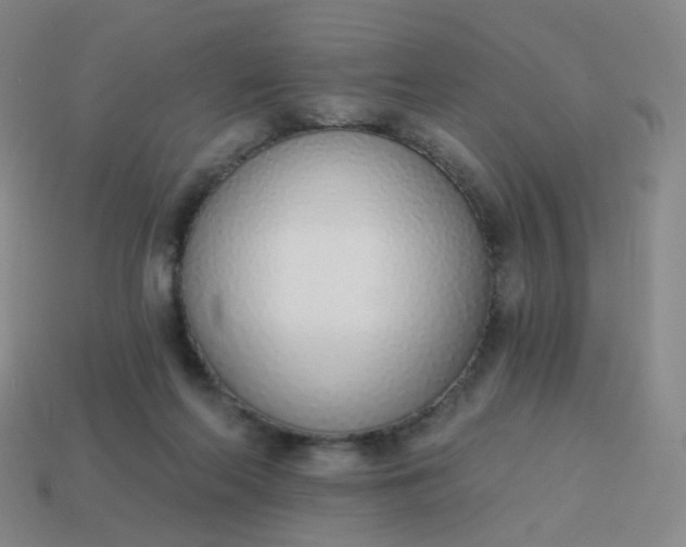 X0000114070214200910191529