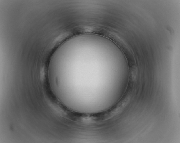 X0000114070216200910191529