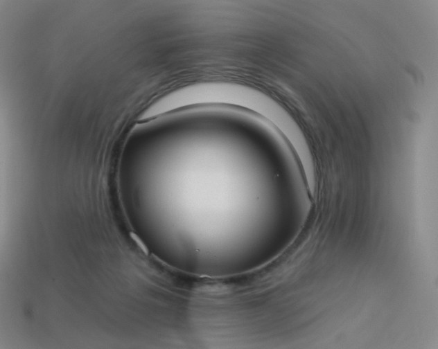 X0000114070217200910191529