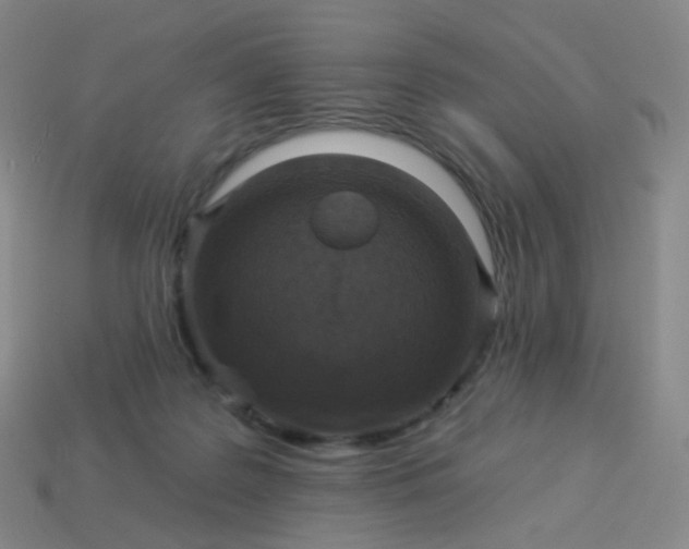 X0000114070219200910191529