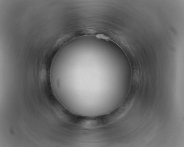 X0000114070220200910191529