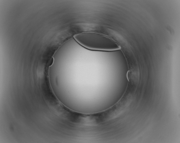 X0000114070221200910191528