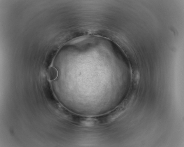 X0000114070222200910191528