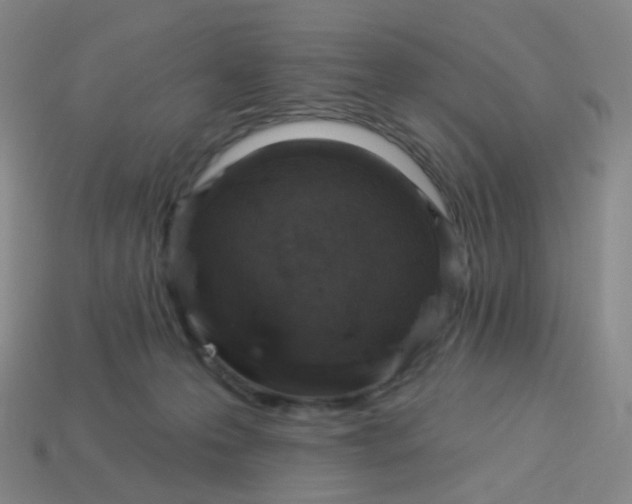 X0000114070223200910191528