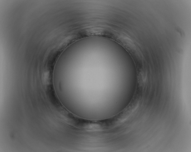 X0000114070224200910191528