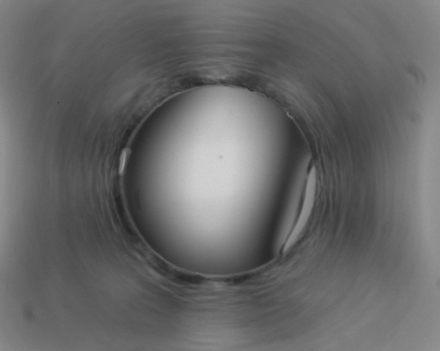 X0000114070227200910191528