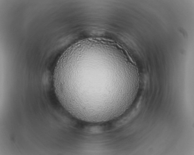 X0000114070228200910191528