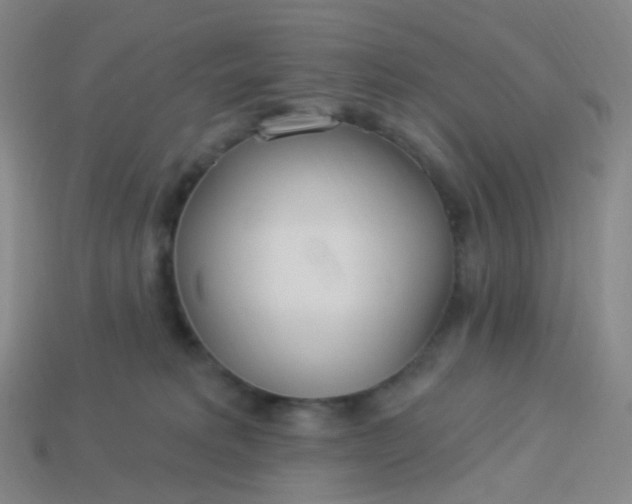 X0000114070229200910191528