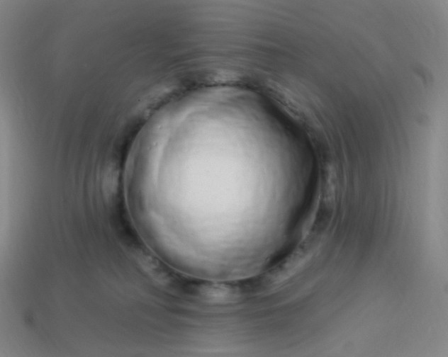 X0000114070230200910191528